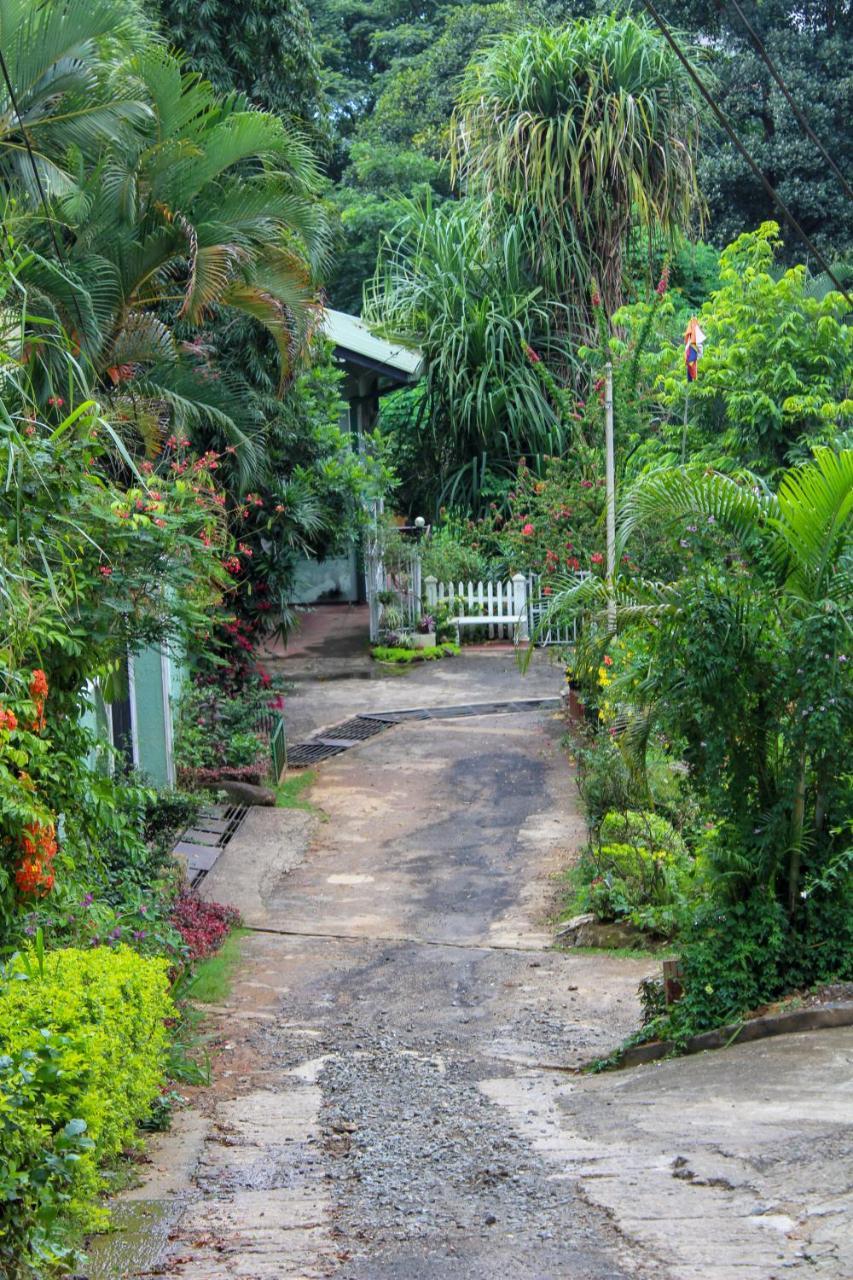 New Nethmi Villa Kandy Zewnętrze zdjęcie